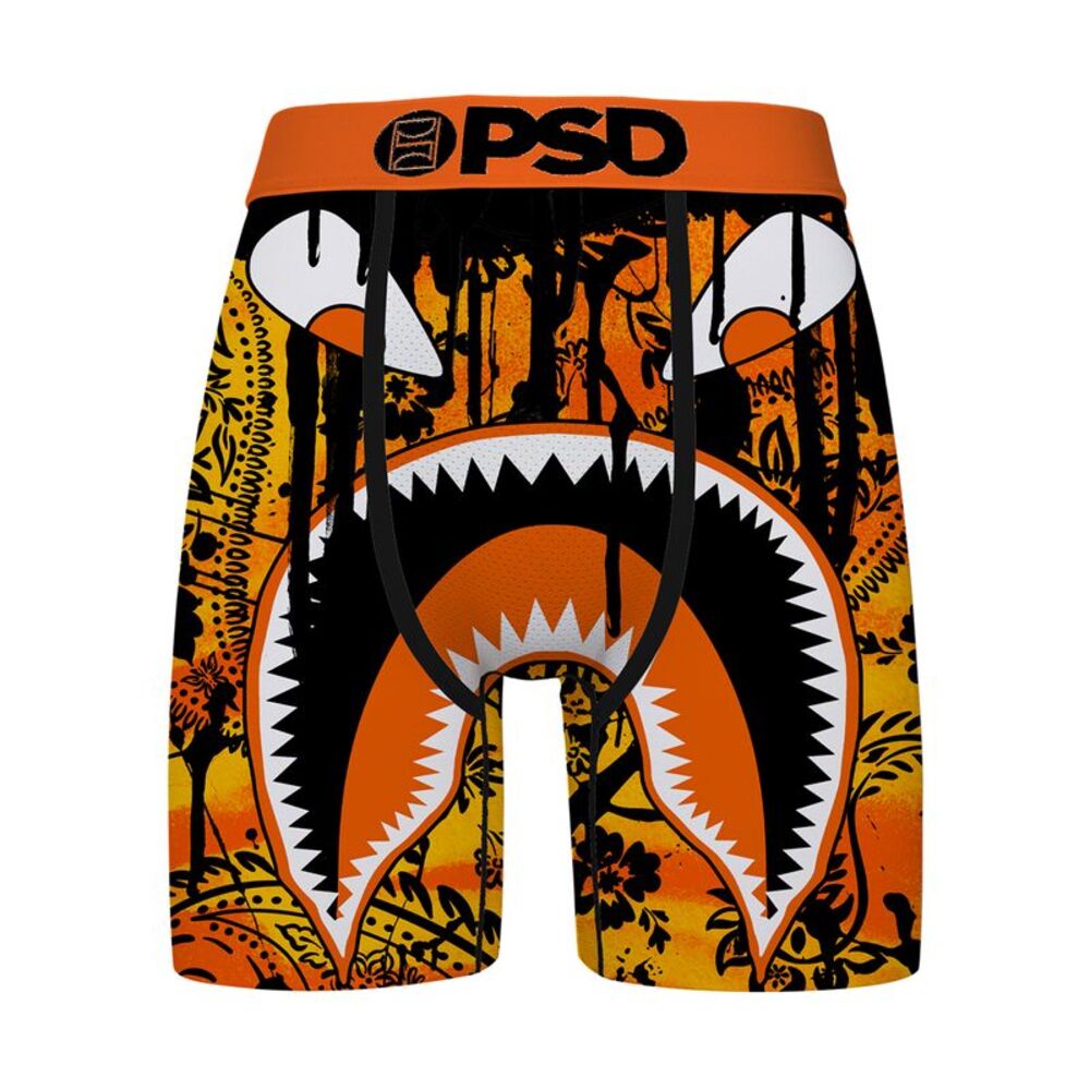 PSD Boxer Brief Wf Hallow Drip Mens Multicolor 326180045